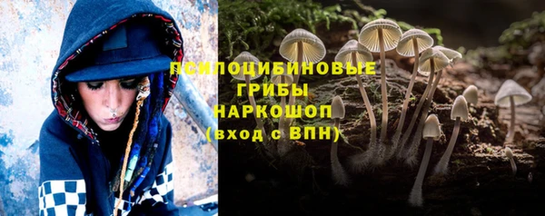 тгк Кукмор